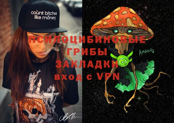 сатива Алексеевка