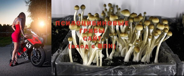 кокаин перу Абинск