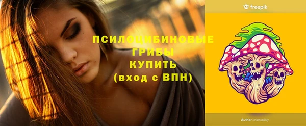сатива Алексеевка